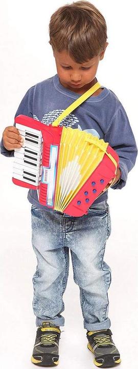 Actual product image Bontempi Accordion