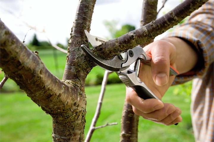 Immagine prodotto Gardena Premium BP50