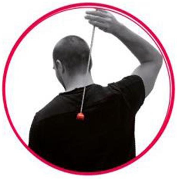 Actual product image Sombo Back scratcher
