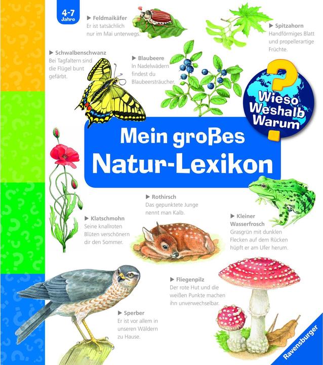 Produktbild Ravensburger Kinder-Sachbuch WWW Mein grosses Natur-Lexikon (Deutsch, Sandra Noa, 2021)