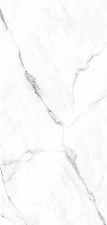 Actual product image Schulte DecoDesign Hochglanz (Back panel (single), 100 cm, 210 cm)