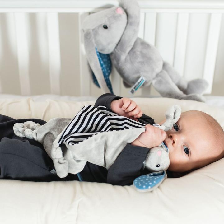 Image du produit Whisbear Lapin de Doudou