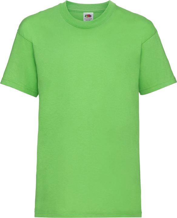 Fruit of the Loom UTBC4269 P