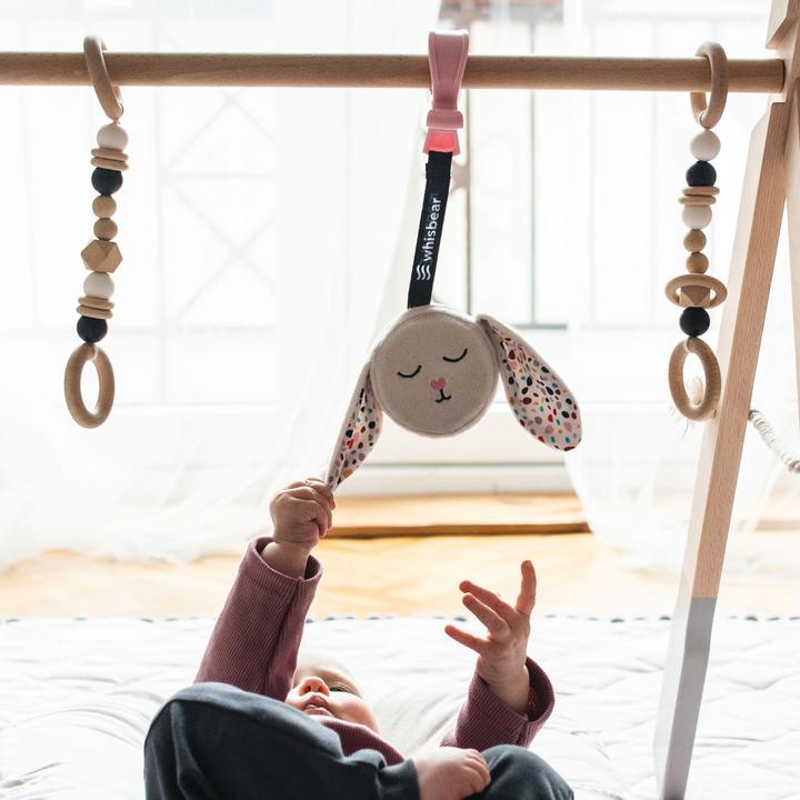 Image du produit Whisbear Le lapin bourdonnant avec un clip