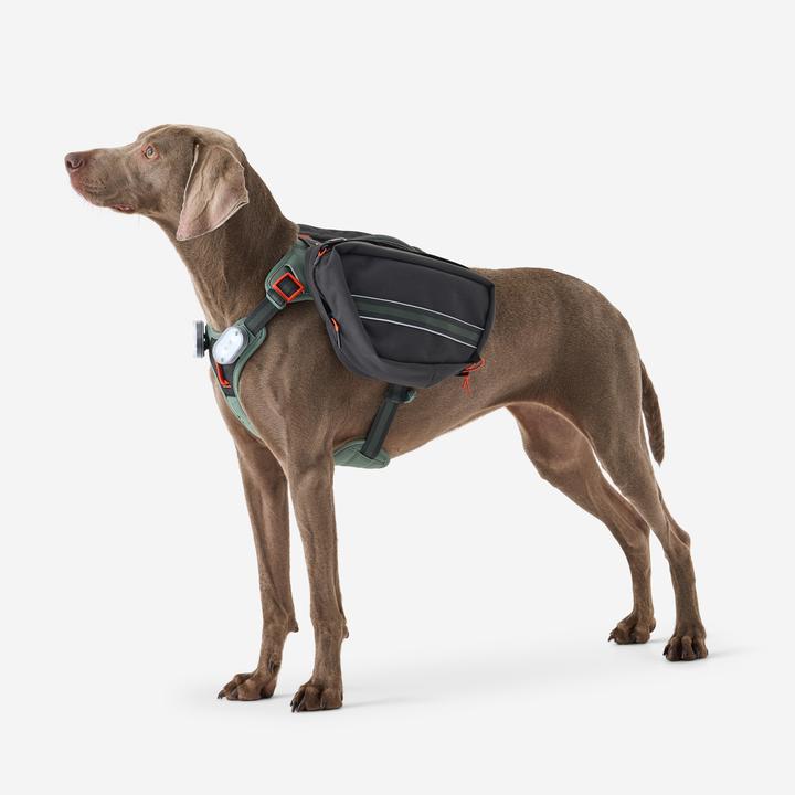 Actual product image Caperlan Hundegeschirr Wandern (S, Dog, Dog sport)