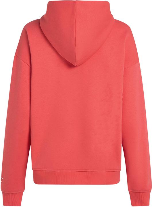 Actual product image O'Neill The Future Surf Society Hoodie (L)