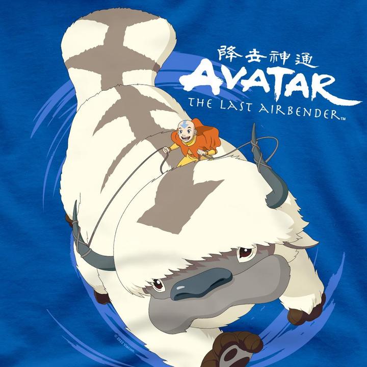 Produktbild Avatar: The Last Airbender In Flight TShirt (4XL)