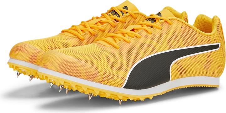 Image du produit Puma evoSPEED Star 8 (44.5)