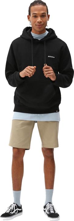 Actual product image Dickies Slim Fit Short REC (33)