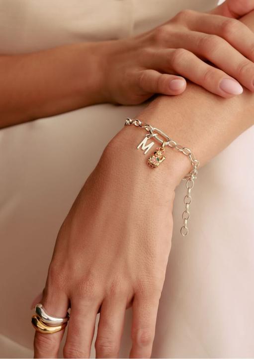 Immagine prodotto Thomas Sabo Charm-Armband mit einem Connect Link Silber (19 cm, Argento)