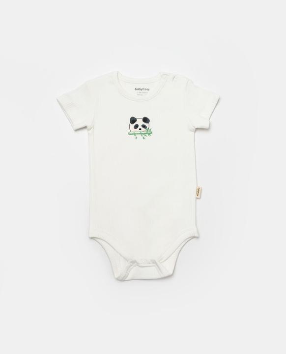 Actual product image BabyCosy 2 Pcs short sleeved Body (68)