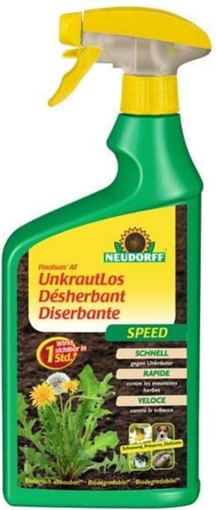 Neudorff Velocità Finalsan AF (Malerbe)