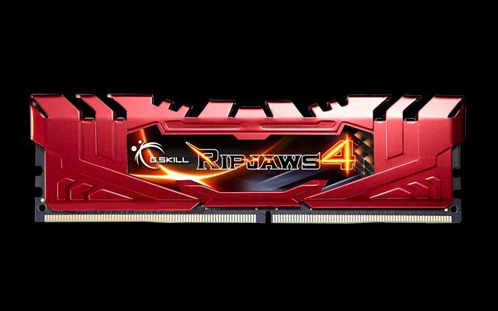 Actual product image G.Skill Ripjaws 4 (2 x 8GB, 2400 MHz, DDR4-RAM, DIMM)