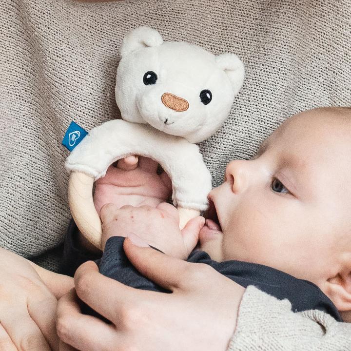 Actual product image Whisbear Eco bear