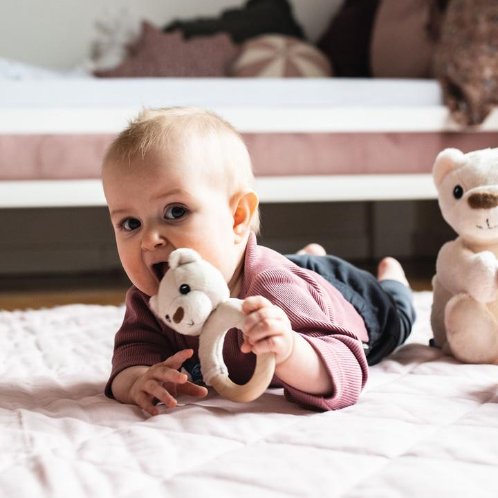 Actual product image Whisbear Eco bear