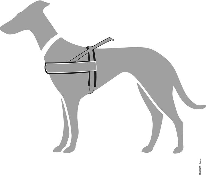 Produktbild Hunter Hundegeschirr (L, Hund, Jogging, Allgemein, Spazieren, Fahrrad)