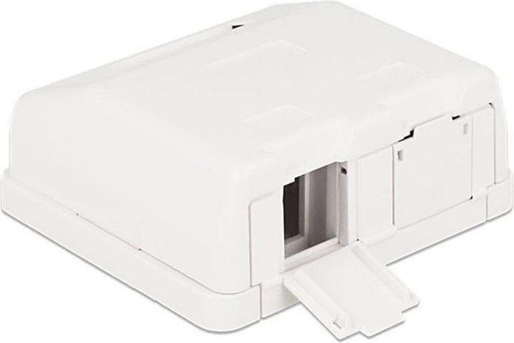 Delock Alloggiamento vuoto Keystone: 2 porte (Supporto per modulo Keystone)
