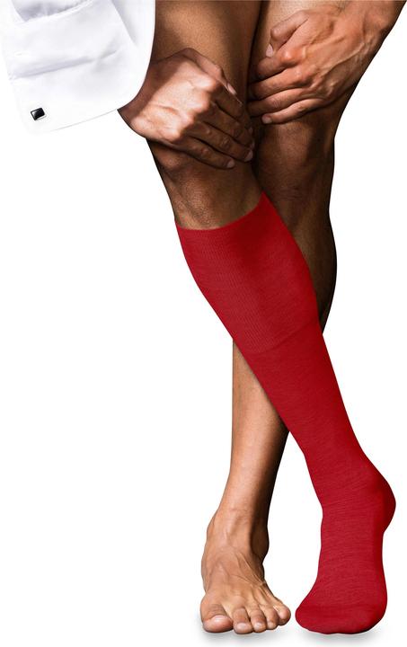 Falke No. 6 KH (43 - 44)