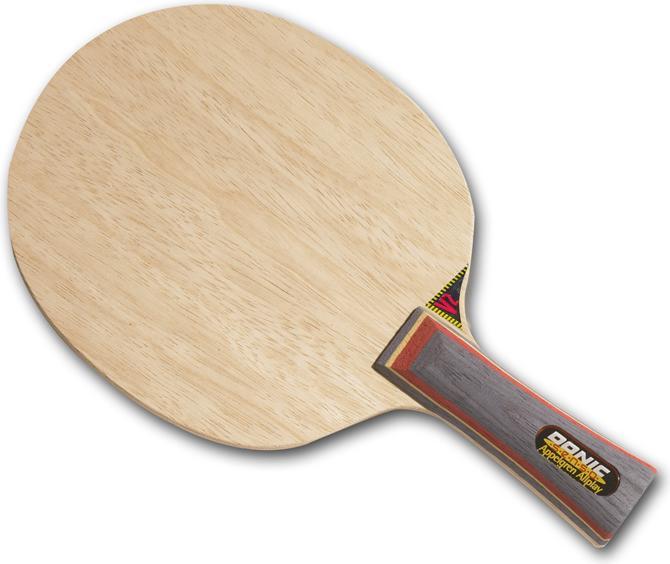 Gubler Appelgren Senso V2