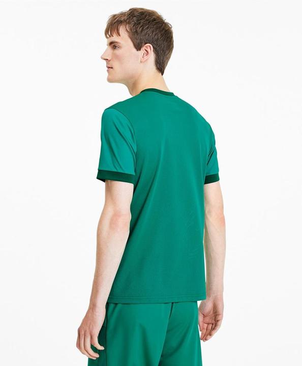 Actual product image Puma teamGOAL 23 Jersey-704171 (M)