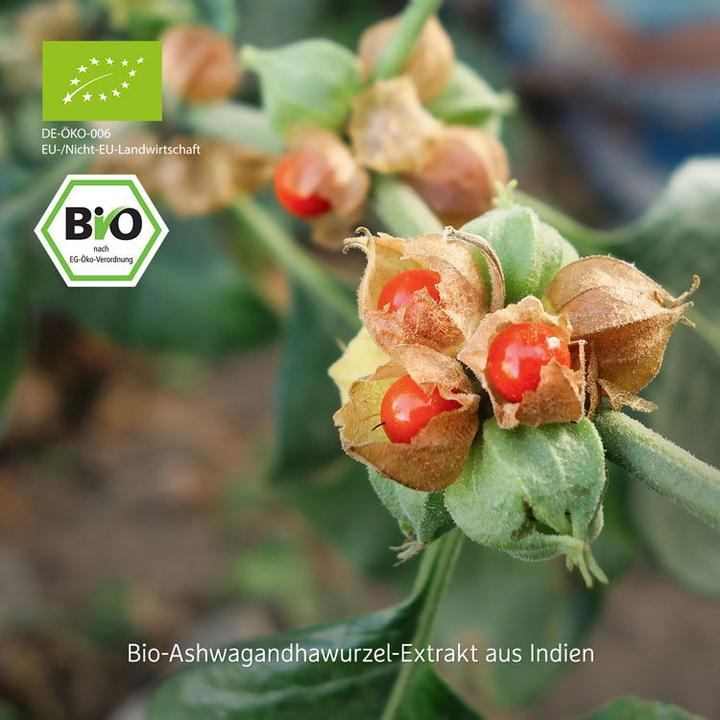 Actual product image Effective Nature Organic Ashwagandha Extract KSM-66 (120 Piece, Pills, 36 g)