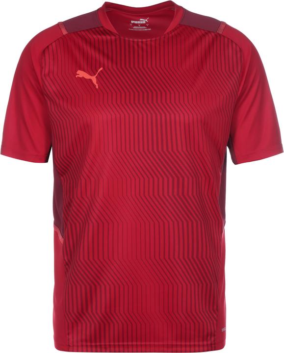 Puma TeamCUP Trainingsshirt Herren (M)