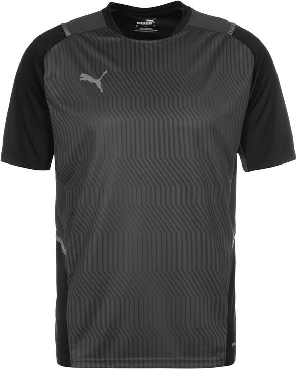 Produktbild Puma TeamCUP Trainingsshirt Herren (XL)