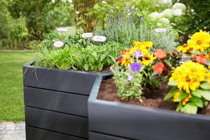 Produktbild Graf Garantia Ergo
