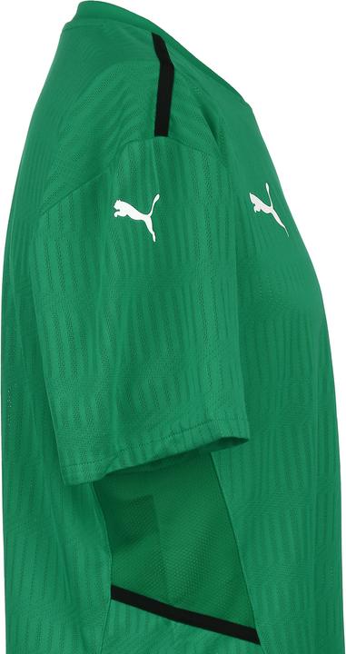 Produktbild Puma TeamCUP Fussballtrikot Herren (S)