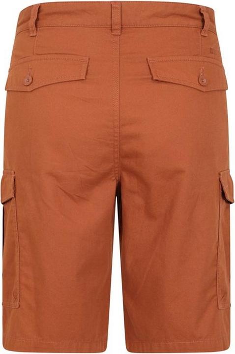 Actual product image Mountain Warehouse Mens Lakeside Cargo Shorts (Frequency band 38 (2600 MHz))