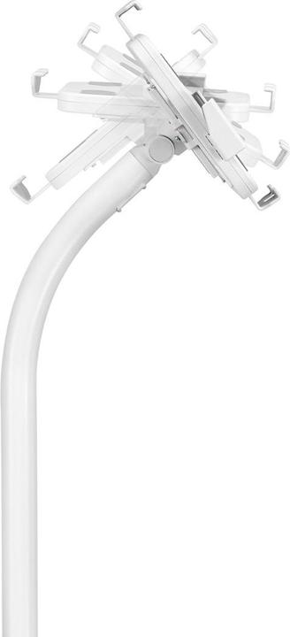 Image du produit Maclean Tablet advertising holder MC-467W