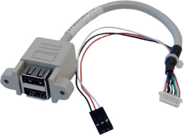 Aaeon EP-CBUSB10PFL01 - USB 2.0 Pin Header Cable