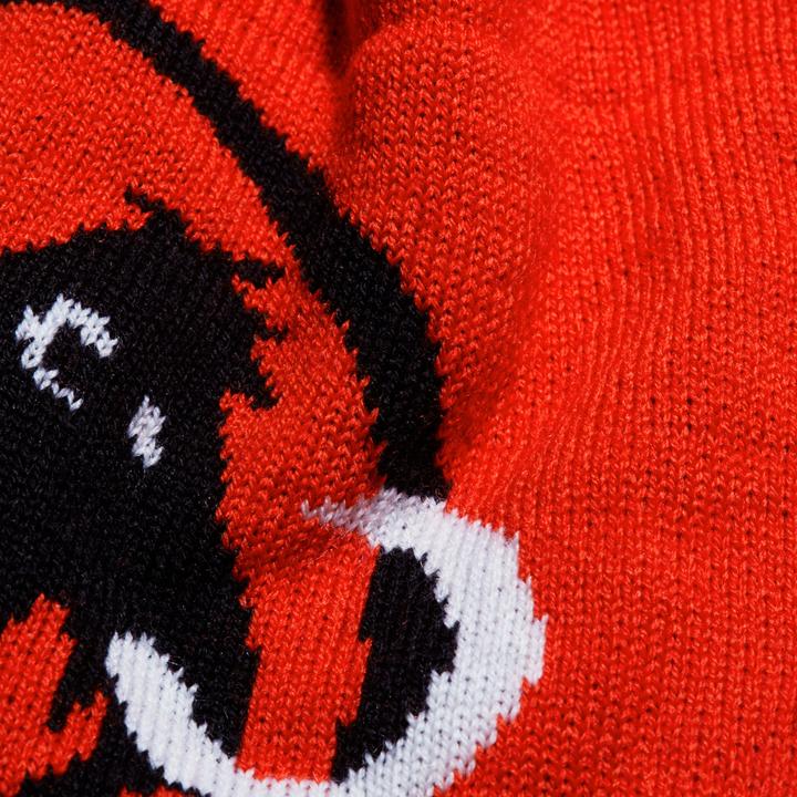 Actual product image Mammut Logo Beanie