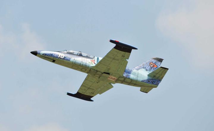 Actual product image Black Horse Albatros L-39 1890mm jet ARF ( BH190 )