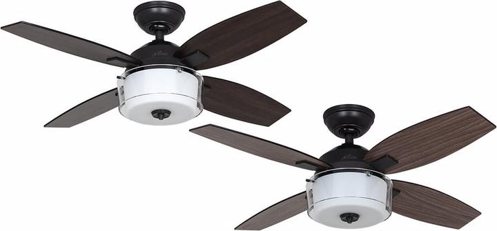 Hunter Fans Central Park (46 dB)
