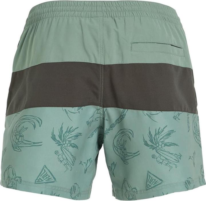 Immagine prodotto O'Neill Pantaloncini Da Bagno Cali Block 15" Mix & Match (L)