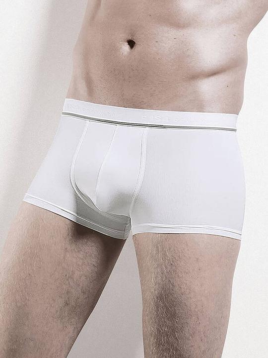Immagine prodotto ISA Bodywear Panty Brian (M, Confezione singola)