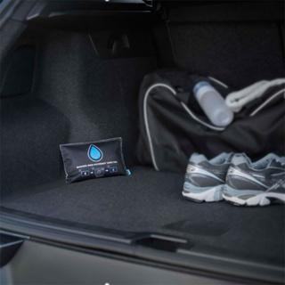 Actual product image Bison Moisture absorber car