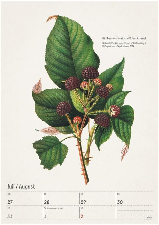 Actual product image Harenberg Bunte Pflanzenwelt Wochenplaner 2026 - 53 historische Illustrationen (Hardcover, German)