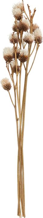 Produktbild micasa Fleur (70 cm)