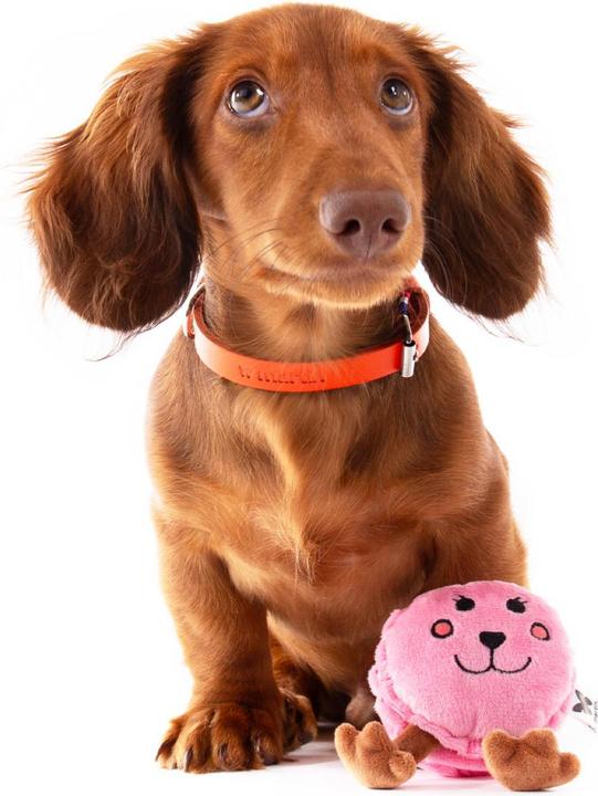 Actual product image Martin Macaron Plüsch (Plush toy dog)