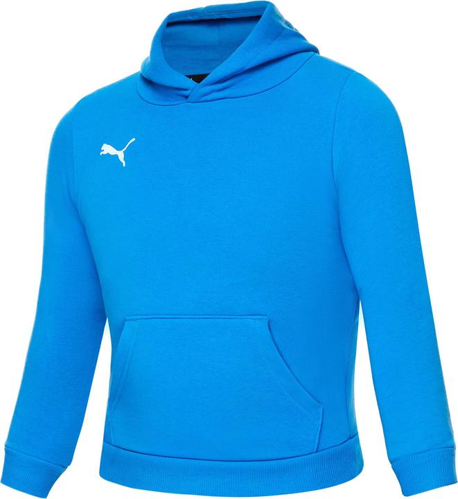 Image du produit Puma teamGOAL 23 Casuals Hoody Jr-656711 (128)