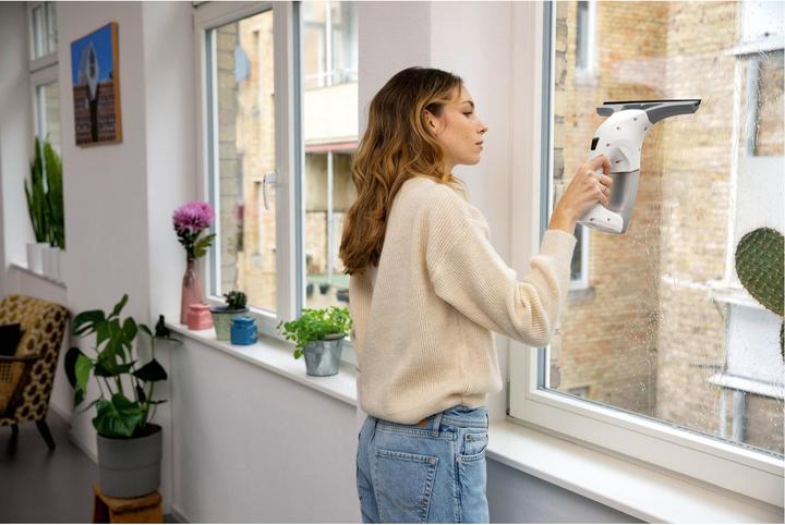 Actual product image Kärcher WV 1