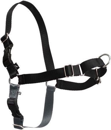 PetSafe Easy Walk (M, Hund, Spazieren)