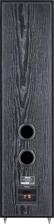 Actual product image Magnat Monitor Supreme 802 (1 pair, 170 W)