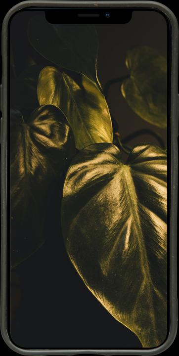 Produktbild dbramante1928 Grenen (Apple iPhone 12 Pro Max)
