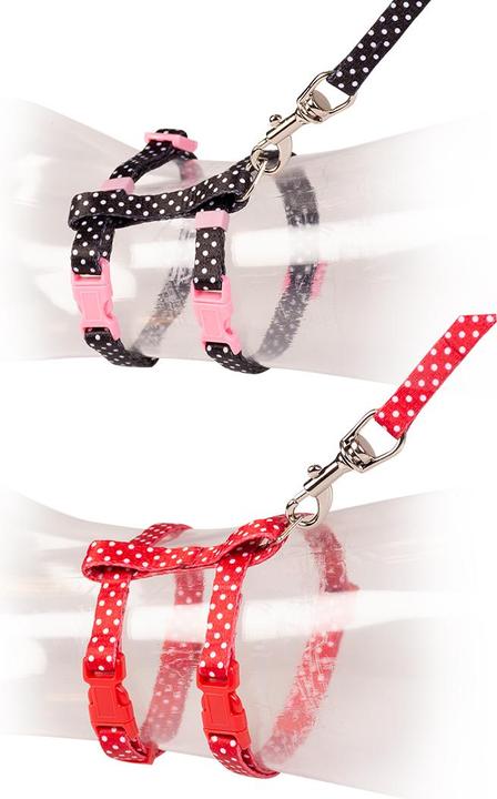 Image du produit Duvoplus Laisse et harnais pour chat boules blanches (Chat)