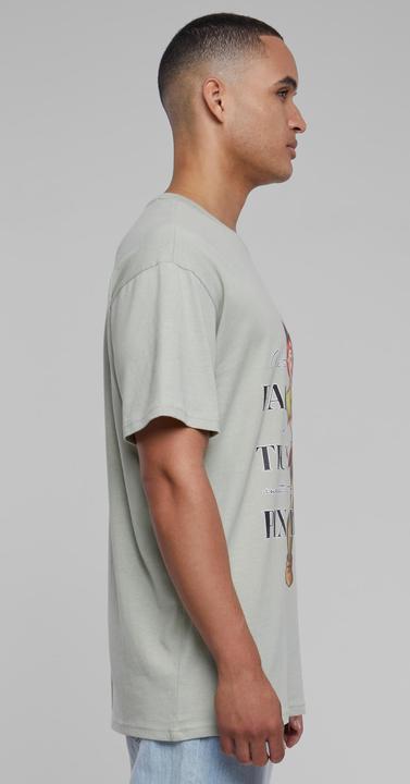 Image du produit Urban Classics Disney 100 Peter Pan Faith and Trust Tee surdimensionné - 119341 (L)
