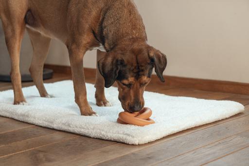 Image du produit Beeztees Équipe de sumo (Jouet à mâcher pour chien)