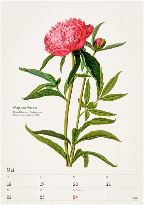 Actual product image Harenberg Bunte Pflanzenwelt Wochenplaner 2026 - 53 historische Illustrationen (Hardcover, German)